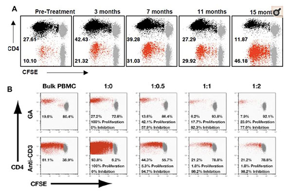 Diagram showing differential upregulation of immunosuppressive GA-specific CD8+ T-cell responses following GA therapy