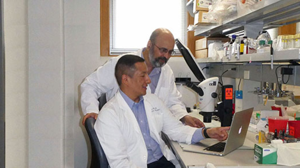 Dr. Karandikar and Dr. Ortega looking at a laptop in a laboratory.